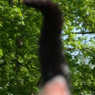 saisonthumbs (329).JPG